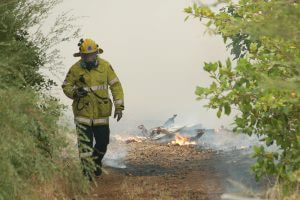 Another fire broke out in Seville Grove. Photograph - Hamish Hastie.