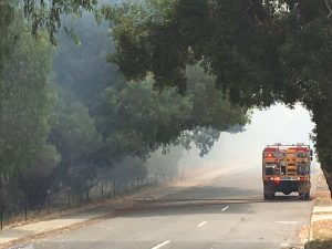 Fire trucks descend on Weld Street Forrestdale just before 3pm. Photograph - Hamish Hastie. 