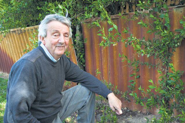 East Cannington resident Desmond Bowers wants tougher asbestos policies from the city. Photograph — Matt Devlin.