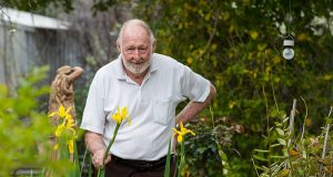 Canning show regular Ron Seaton will be showing his flowers and produce at this year’s show. Photograph — Matt Devlin.