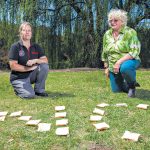 GOS-bird-feeders-1_CP