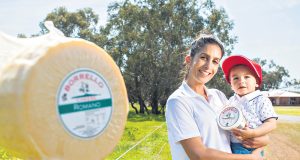 Maree Lemme and nephew Vincent Wilson made up the third and fourth generation of cheese makers at Borrello Cheese in Oakford. Photograph — Matt Devlin.