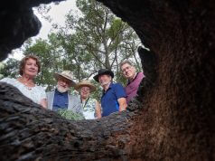 Bungendore park management committee members Eileen Tristram, Guenter Best, Penny Versteeg, Tony Clark and John Cartwright will be cooking breakfast in the park next month. Photograph — Matt Devlin.