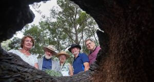 Bungendore park management committee members Eileen Tristram, Guenter Best, Penny Versteeg, Tony Clark and John Cartwright will be cooking breakfast in the park next month. Photograph — Matt Devlin.