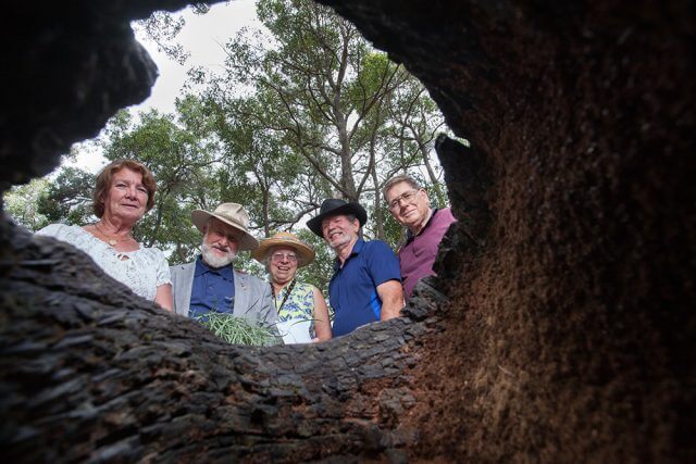 Bungendore park management committee members Eileen Tristram, Guenter Best, Penny Versteeg, Tony Clark and John Cartwright will be cooking breakfast in the park next month. Photograph — Matt Devlin.