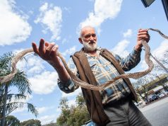 Kelmscott resident Keith Mann with the snakeskin he found at his son’s Byford home. Photograph — Matt Devlin