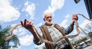 Kelmscott resident Keith Mann with the snakeskin he found at his son’s Byford home. Photograph — Matt Devlin