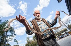 Kelmscott resident Keith Mann with the snakeskin he found at his son’s Byford home. Photograph — Matt Devlin