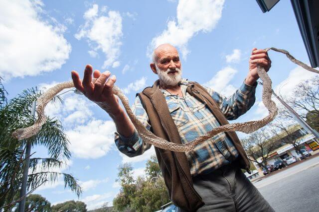 Kelmscott resident Keith Mann with the snakeskin he found at his son’s Byford home. Photograph — Matt Devlin