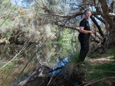 SERCUL chair Pat Hart on the banks of the Canning river which the group recently rehabilitated. Ms Hart said work like this was why the group should have been included in the river protection strategy. Photograph — Matt Devlin.
