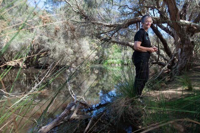 SERCUL chair Pat Hart on the banks of the Canning river which the group recently rehabilitated. Ms Hart said work like this was why the group should have been included in the river protection strategy. Photograph — Matt Devlin.