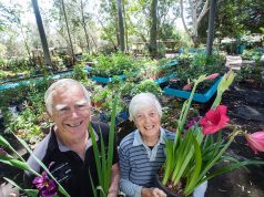 Barry and Lorraine Young would hold the annual Amanda’s memorial garden fete this month. Photograph — Matt Devlin.