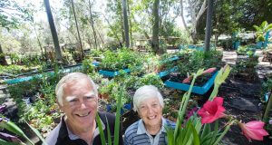 Barry and Lorraine Young would hold the annual Amanda’s memorial garden fete this month. Photograph — Matt Devlin.