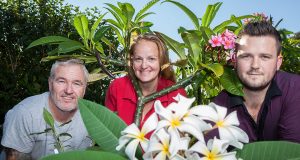 Lee Fitzpatrick, Sue Trapnell and Michael North with the plants that will be for sale at the plant sale on December 5. Photograph — Matt Devlin.