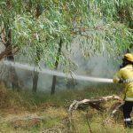 ARM-Forrestdale-Fire-3