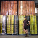 SJ-Backpacking-visa-2