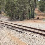 SJ-mundijong-freight-line