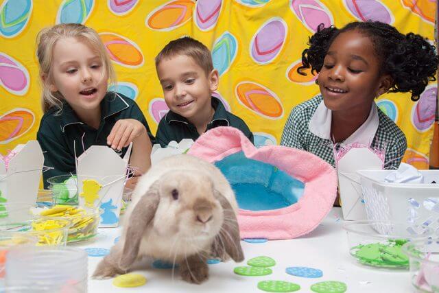 Preprimary students Rio Foster, Michael Penny and Sephtricia Newman show Fella their Easter themed arts and crafts. Photograph — Matt Devlin.