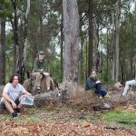 SJ-Jarrahdale-walks