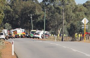 A truck carrying pigs crashed on Karnup Road, west of Rapids Road, in Serpentine this morning. Photograph - Hamish Hastie.