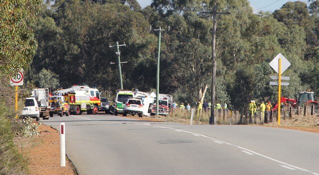 A truck carrying pigs crashed on Karnup Road, west of Rapids Road, in Serpentine this morning. Photograph - Hamish Hastie.