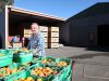 Roleystone grower Andrew Marchetti relies on backpackers during harvest season. Photograph — Matt Devlin.