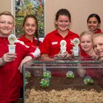 SJ-serpentine-aquarium-1-1-1