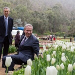 ARM-Araluen-opening-2