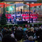 ARM Christmas carols copy