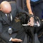 CAN Doggy graduation 1