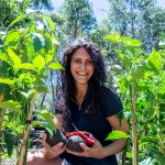 ARM Chilli and avo fest  WEB