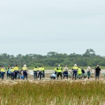 ARM Swans recovery 1  WEB