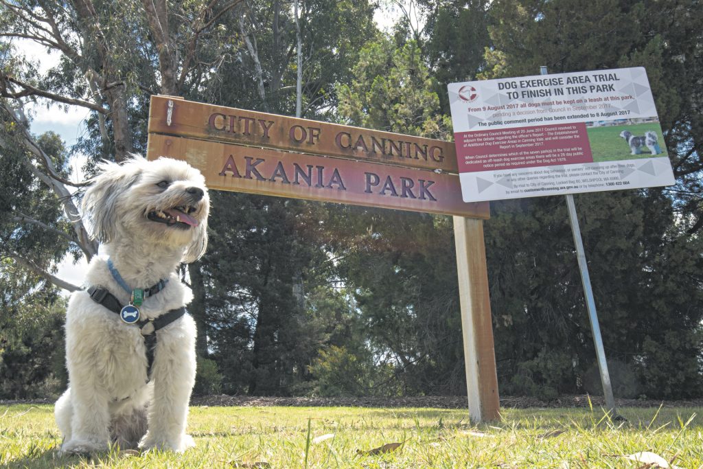 City approves extra dog parks Your Local Examiner