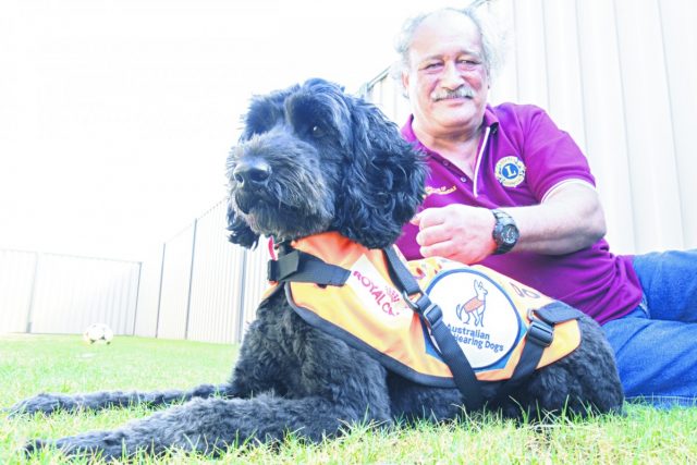 SJ Hearing dog 4_CP