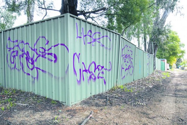 SJ Graffiti arrest 1_CP