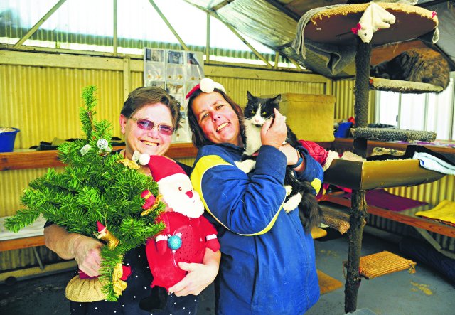 GOS Animal Protection Christmas 6_CP