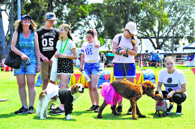 ARM Dogs Day Out 16_CP