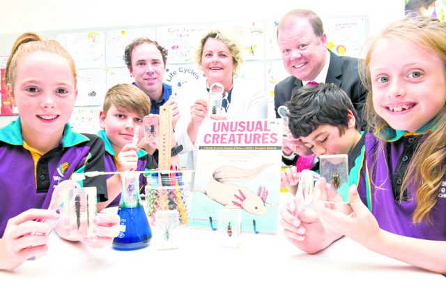 SJ Woodland Grove science lab 2_CP