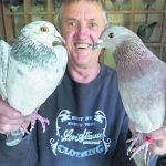 CAN pigeons 1_CP