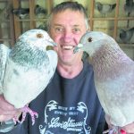 CAN pigeons 2_CP