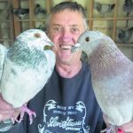 CAN pigeons 3_CP