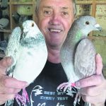 CAN pigeons 4_CP