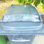ARM Bin weights_CP