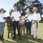 ARM Cattle Show 1