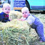 SJ Food and Farm Fest 2_CP