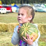 SJ Food and Farm Fest 4_CP