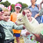 SJ Food and Farm Fest 8_CP