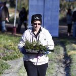SJ Tree Day 8