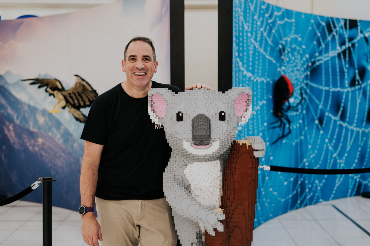 Brickman s awesome display wows audiences Your Local Examiner