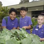 ARM Kitchen garden 2
